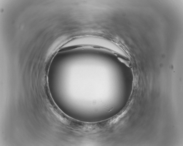 X0000088170101200706051126