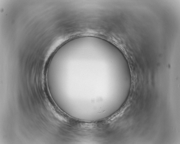 X0000088170102200706051126