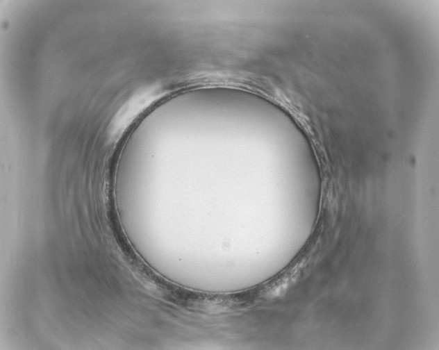 X0000088170103200706051126