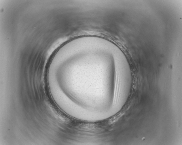 X0000088170104200706051126