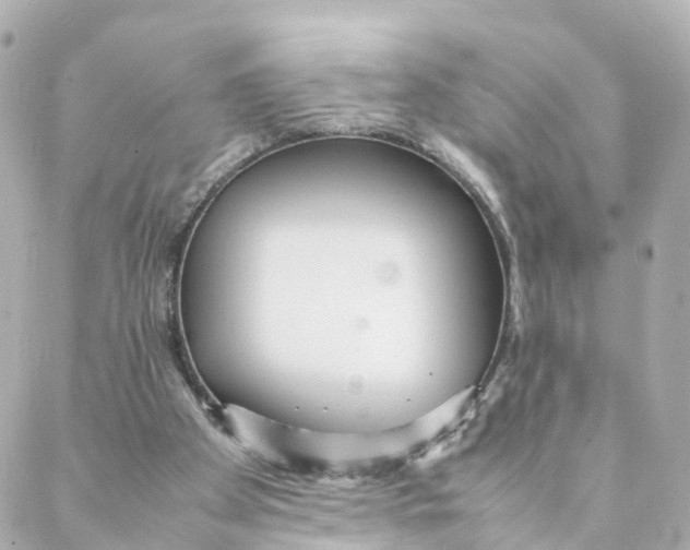 X0000088170105200706051126