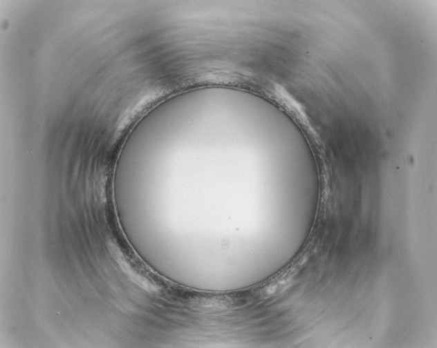 X0000088170106200706051126