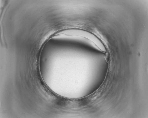 X0000088170107200706051126