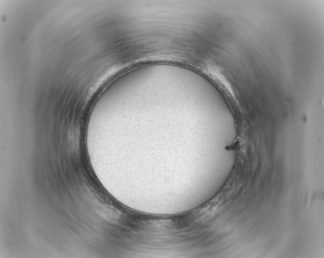 X0000088170108200706051126