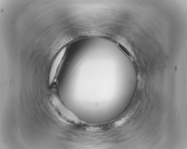 X0000088170109200706051126