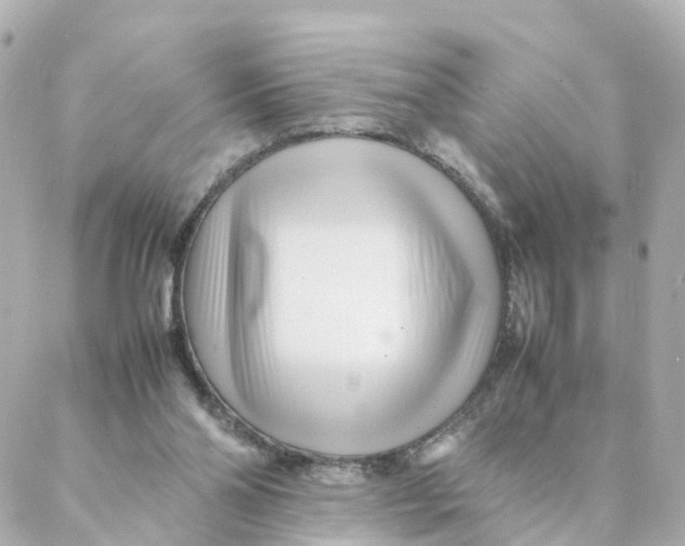 X0000088170110200706051126