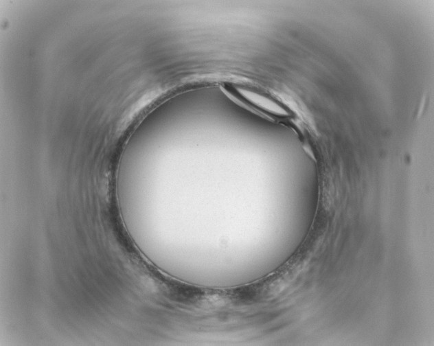 X0000088170111200706051126