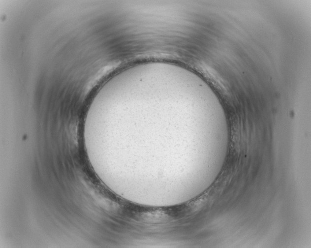 X0000088170112200706051126