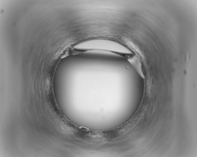 X0000088170113200706051126