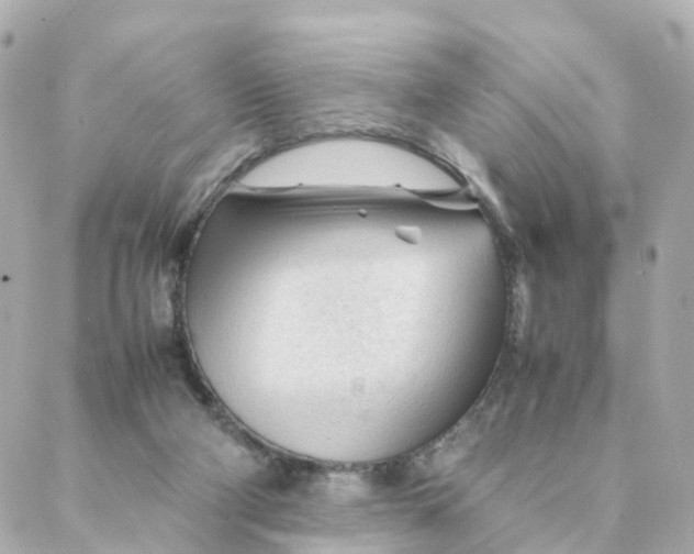 X0000088170114200706051126