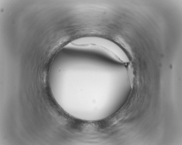 X0000088170115200706051126