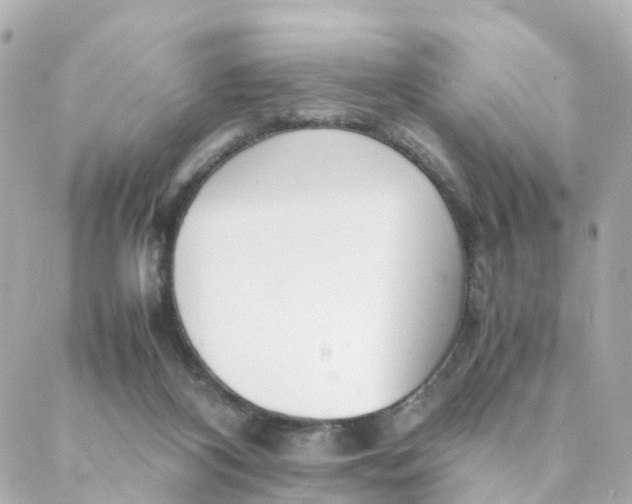 X0000088170116200706051126