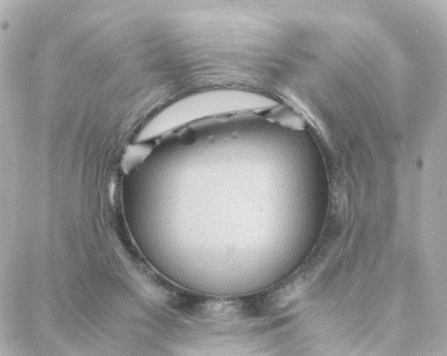 X0000088170117200706051126