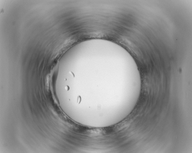 X0000088170118200706051126