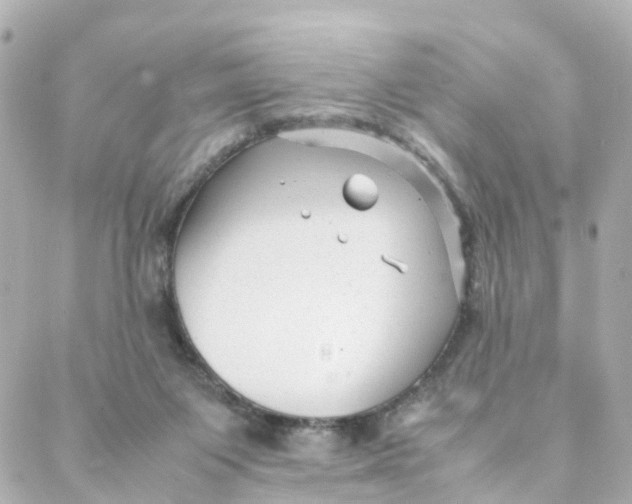 X0000088170119200706051126