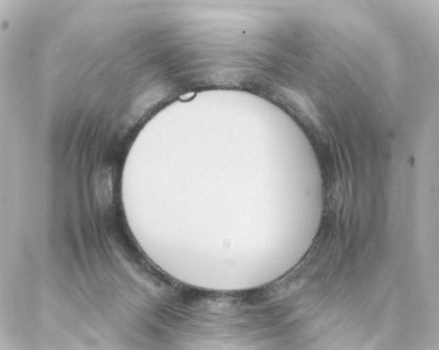 X0000088170120200706051126