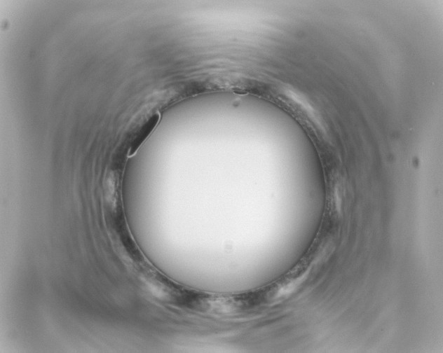 X0000088170121200706051126