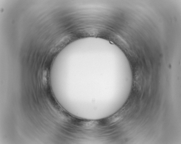 X0000088170122200706051126