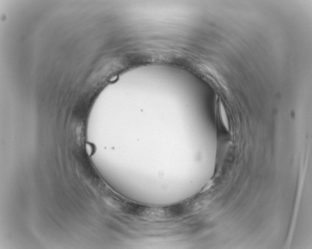 X0000088170123200706051126