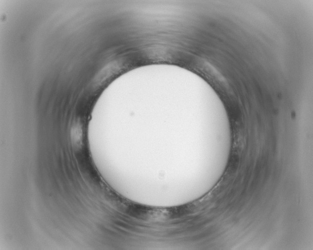 X0000088170124200706051126