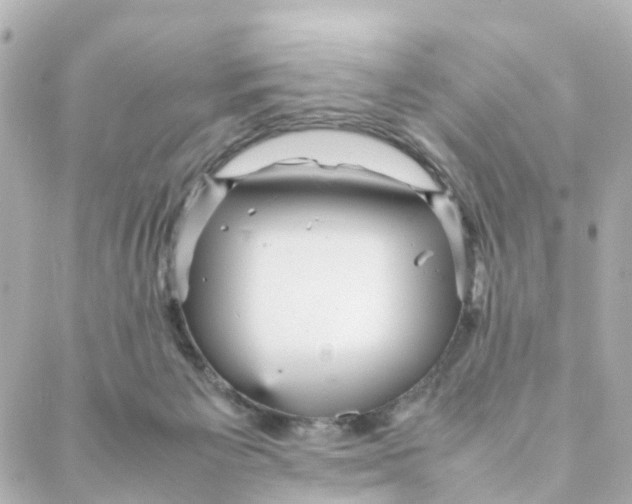 X0000088170125200706051126