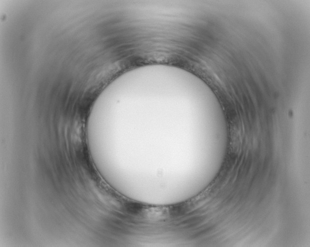 X0000088170126200706051126