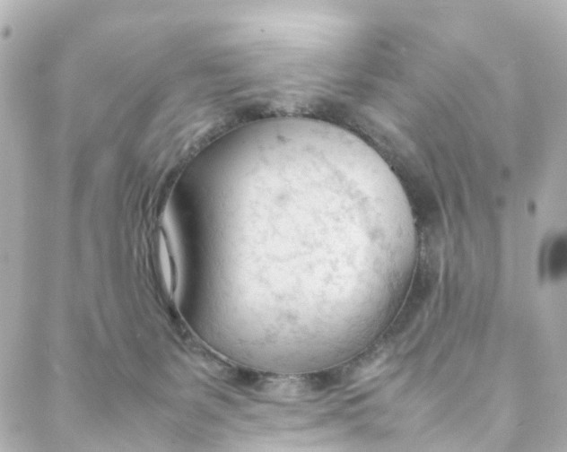 X0000088170127200706051126