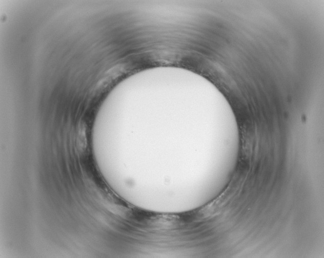 X0000088170128200706051126