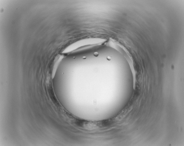 X0000088170129200706051126