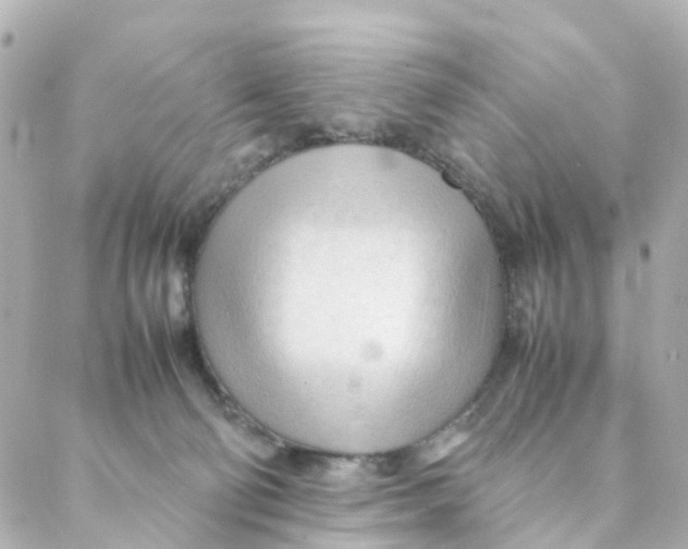 X0000088170130200706051126