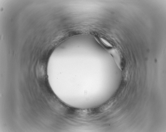 X0000088170131200706051126