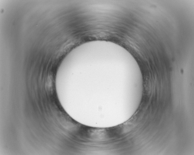 X0000088170132200706051126