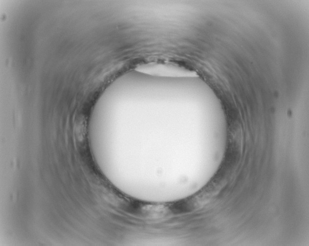 X0000088170133200706051126