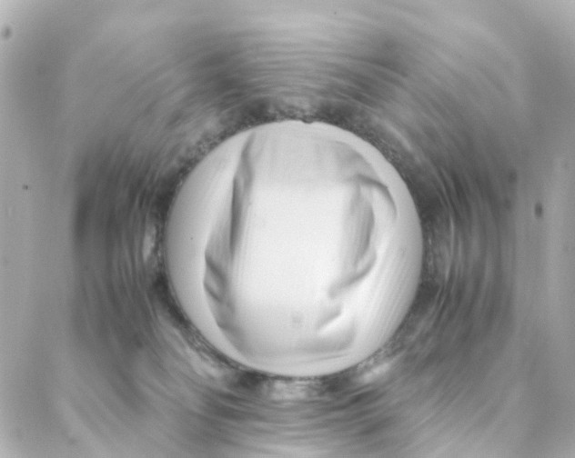 X0000088170134200706051126