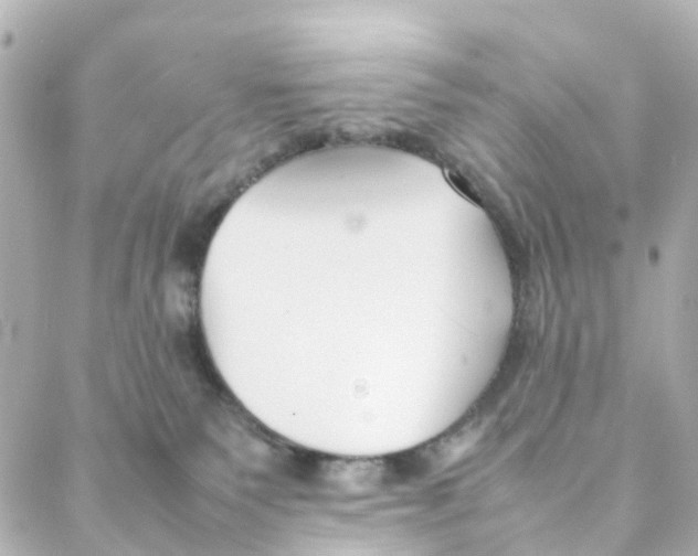 X0000088170135200706051126