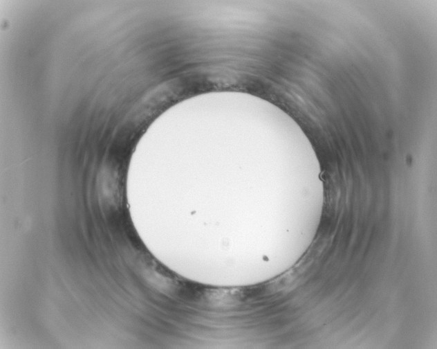 X0000088170136200706051126