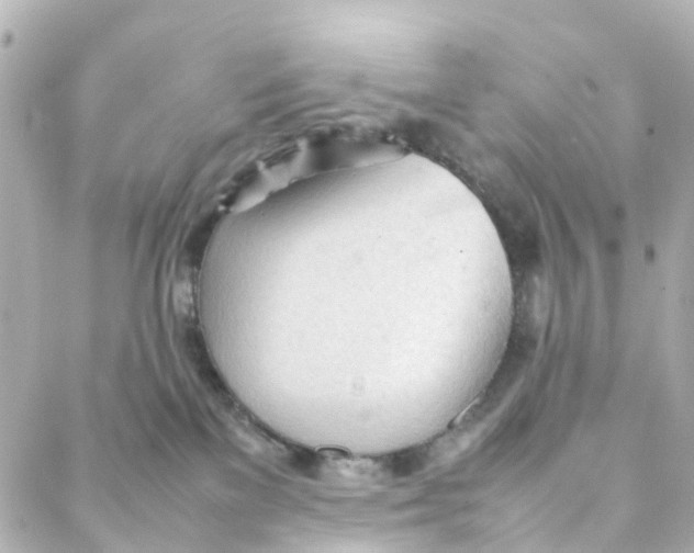 X0000088170137200706051126