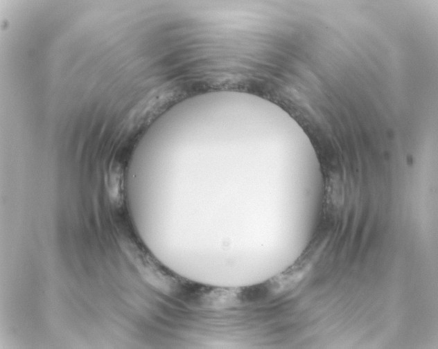 X0000088170138200706051126