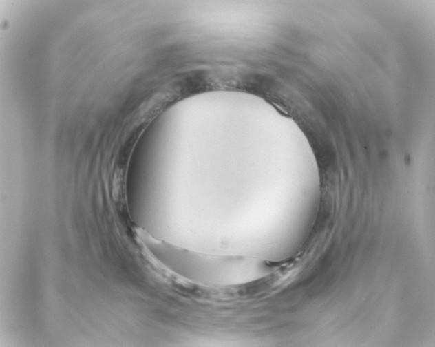 X0000088170139200706051126