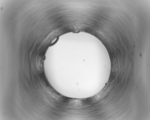 X0000088170140200706051126