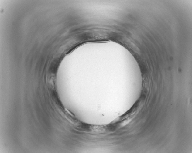 X0000088170141200706051126