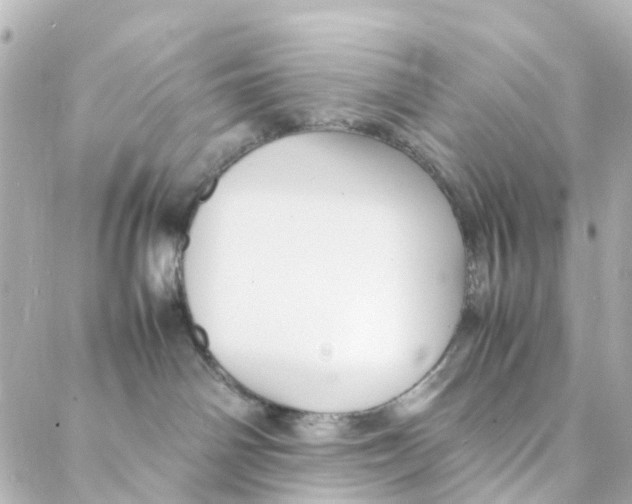 X0000088170142200706051126