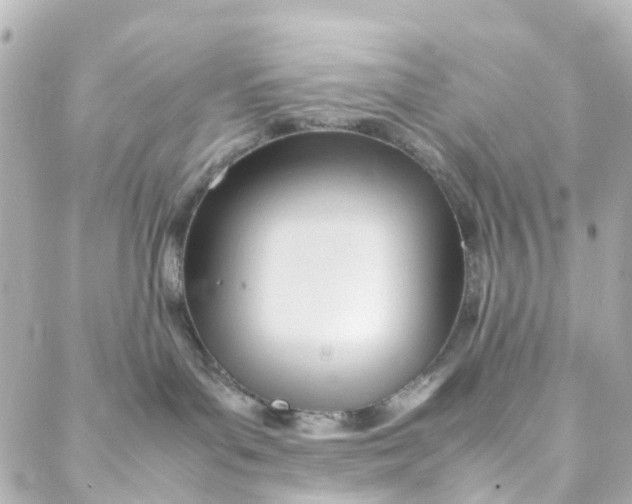 X0000088170143200706051126