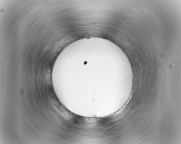 X0000088170144200706051126