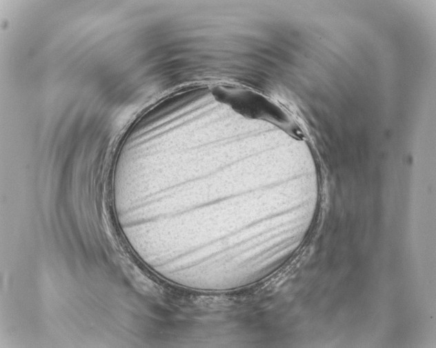 X0000088170145200706051125