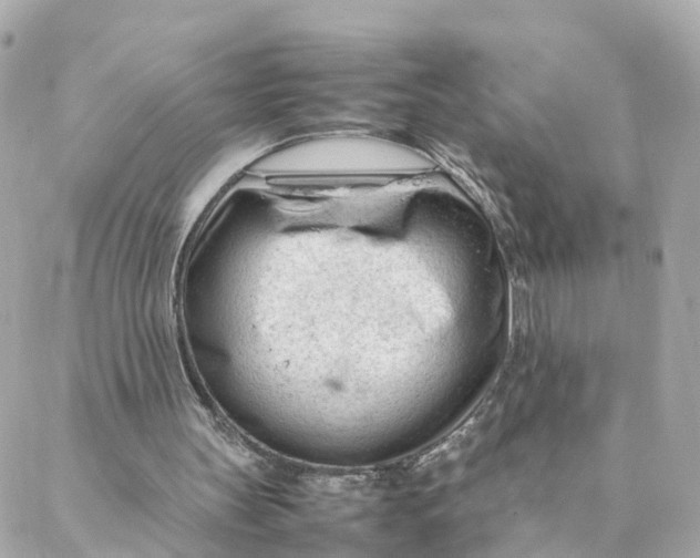 X0000088170147200706051125