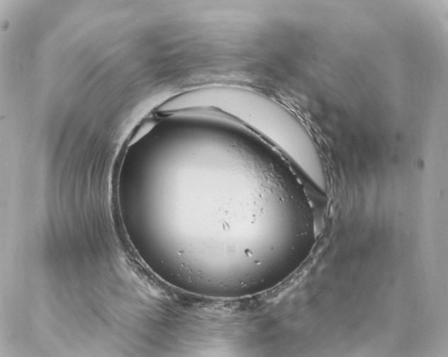 X0000088170148200706051125