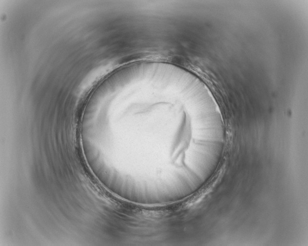 X0000088170149200706051125