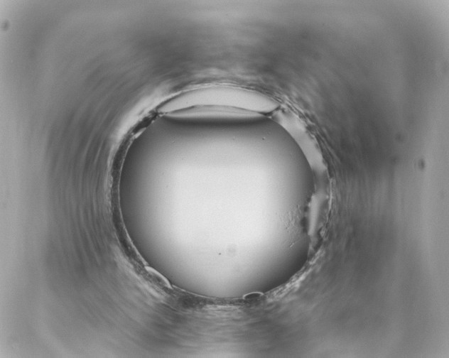 X0000088170150200706051125