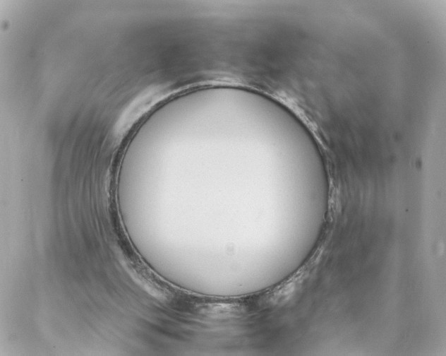 X0000088170151200706051125